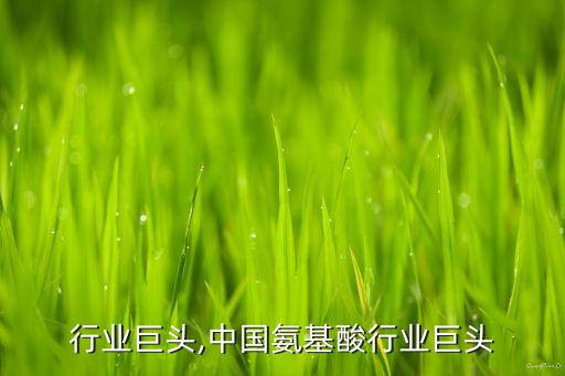 咨询行业巨头,中国氨基酸行业巨头