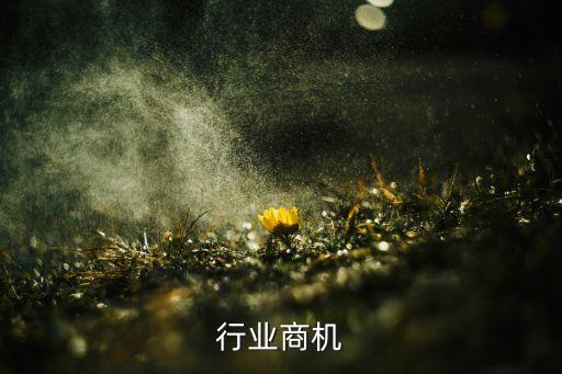 行业商机