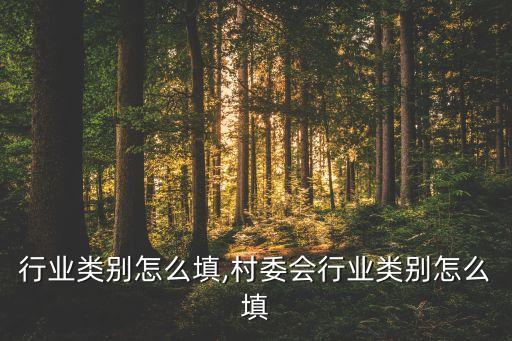 国网行业类别怎么填,村委会行业类别怎么填