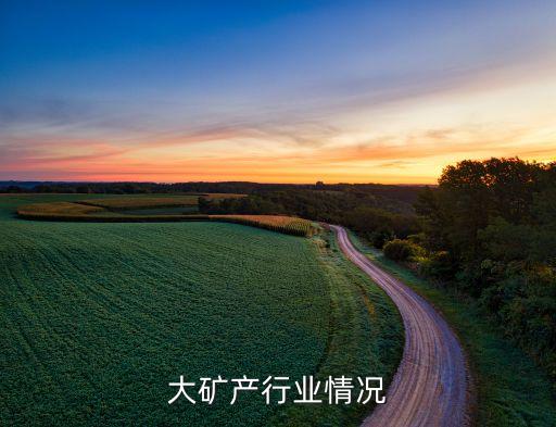 大矿产行业情况