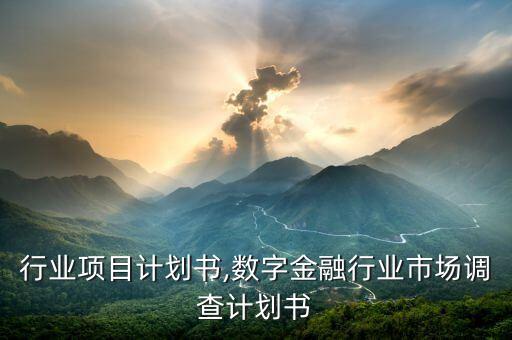 行业项目计划书,数字金融行业市场调查计划书