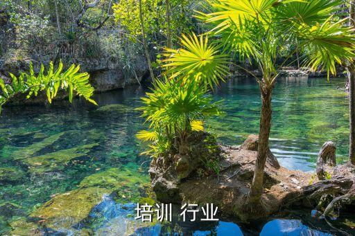 语言培训 行业