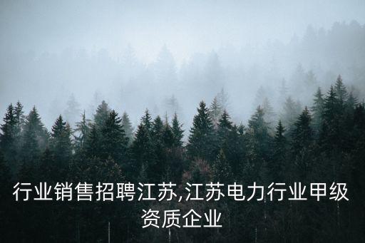 电力行业销售招聘江苏,江苏电力行业甲级资质企业