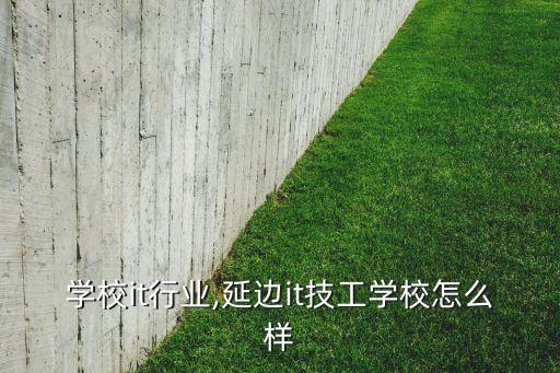 学校it行业,延边it技工学校怎么样