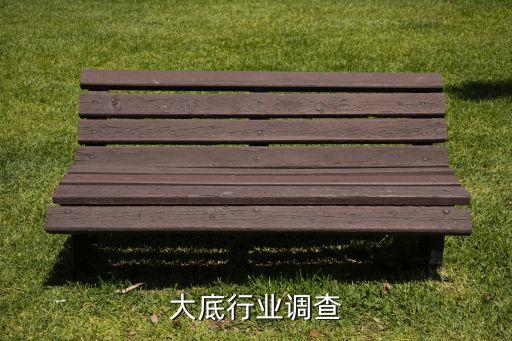 橡胶大底行业调查