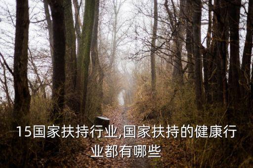 2015国家扶持行业,国家扶持的健康行业都有哪些