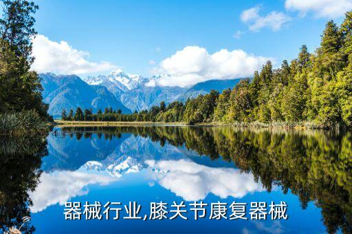 康复器械行业,膝关节康复器械