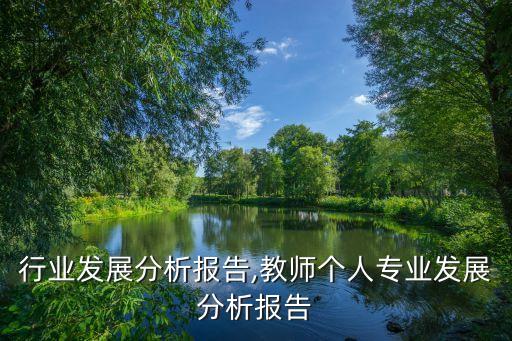 行业发展分析报告,教师个人专业发展分析报告