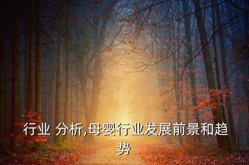  行业 分析,母婴行业发展前景和趋势