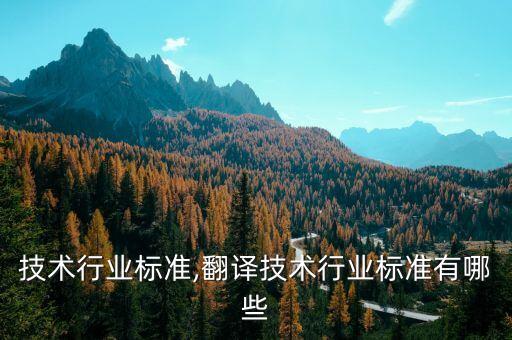 美国技术行业标准,翻译技术行业标准有哪些