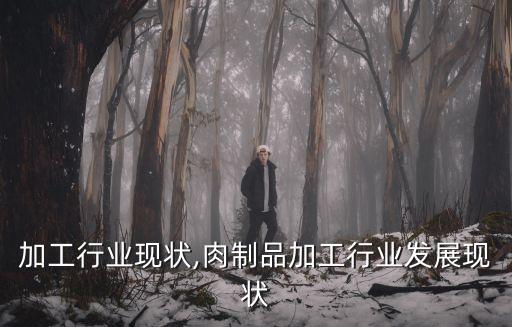 我国加工行业现状,肉制品加工行业发展现状