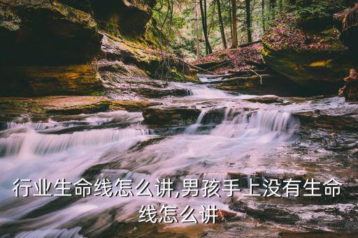 行业生命线怎么讲,男孩手上没有生命线怎么讲