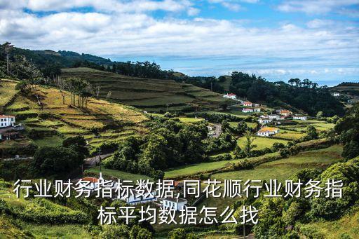 行业财务指标数据,同花顺行业财务指标平均数据怎么找