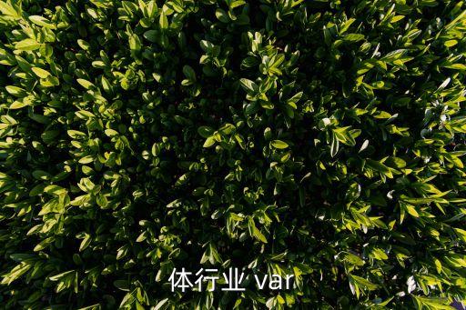 体行业 var