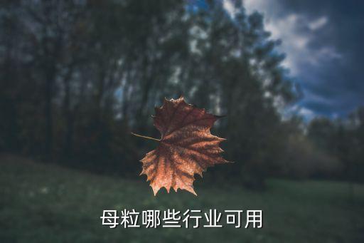 母粒哪些行业可用