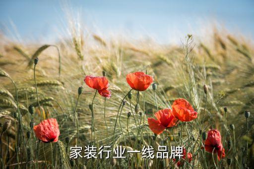 家装行业一线品牌