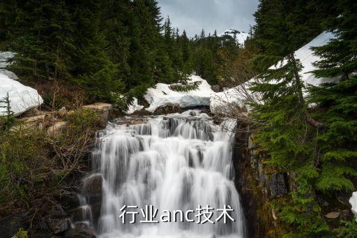 行业anc技术
