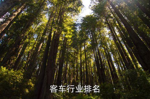 客车行业排名