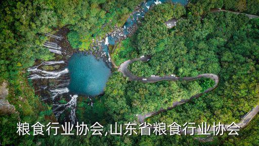 重庆粮食行业协会,山东省粮食行业协会