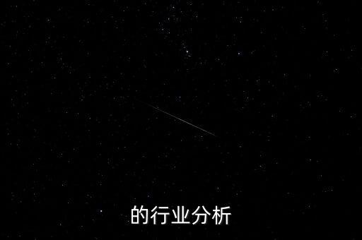 的行业分析