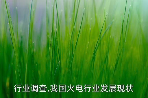 火电行业调查,我国火电行业发展现状