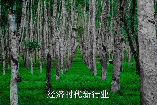 经济时代新行业