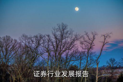 中国证券行业发展报告