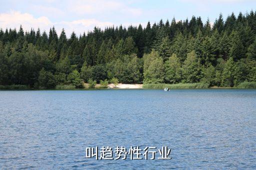 什么叫趋势性行业