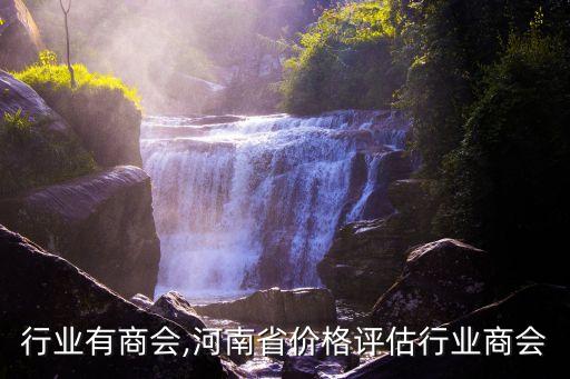 行业有商会,河南省价格评估行业商会