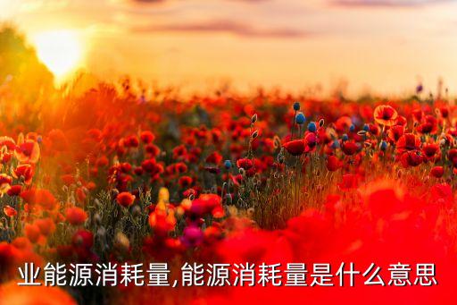 业能源消耗量,能源消耗量是什么意思