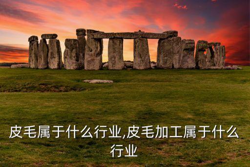 皮毛属于什么行业,皮毛加工属于什么行业
