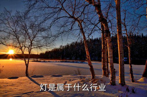 灯是属于什么行业