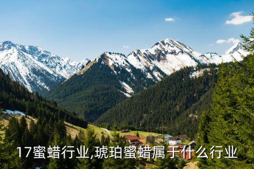 17蜜蜡行业,琥珀蜜蜡属于什么行业