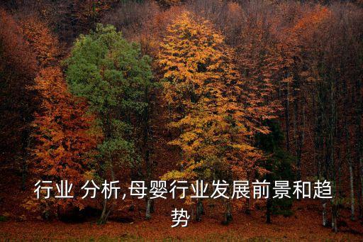  行业 分析,母婴行业发展前景和趋势