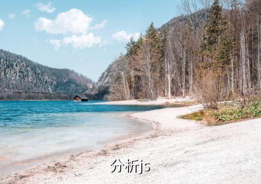 行业分析-js