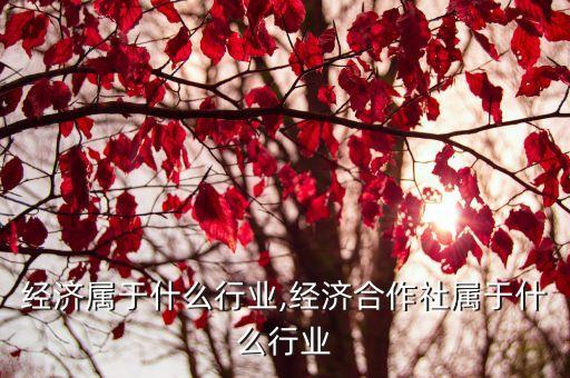经济属于什么行业,经济合作社属于什么行业