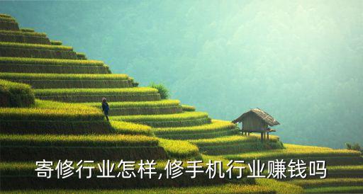 手机寄修行业怎样?,修手机行业赚钱吗