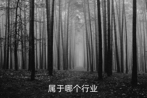 属于哪个行业