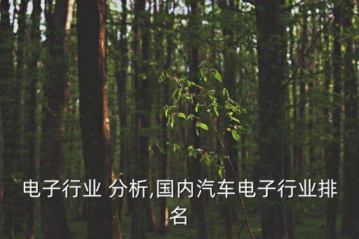 电子行业 分析,国内汽车电子行业排名