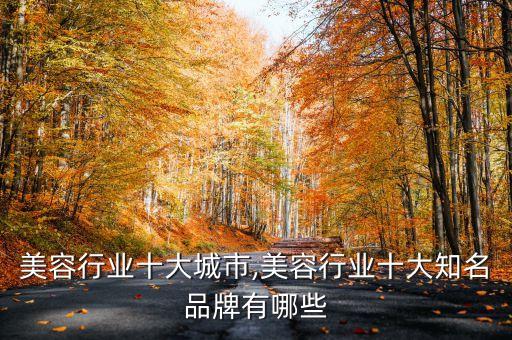 美容行业十大城市,美容行业十大知名品牌有哪些