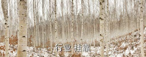 金融行业 挂靠