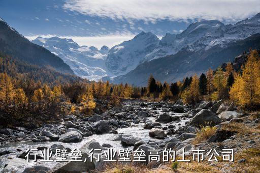 电容行业壁垒,行业壁垒高的上市公司
