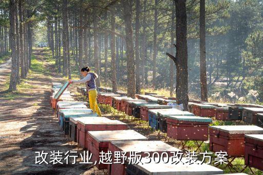 越野改装行业,越野版300改装方案