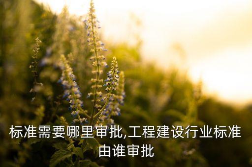 标准需要哪里审批,工程建设行业标准由谁审批
