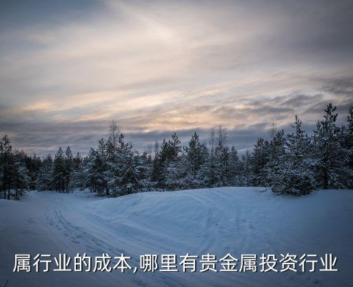 属行业的成本,哪里有贵金属投资行业