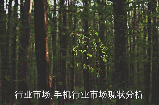 背包行业市场,手机行业市场现状分析