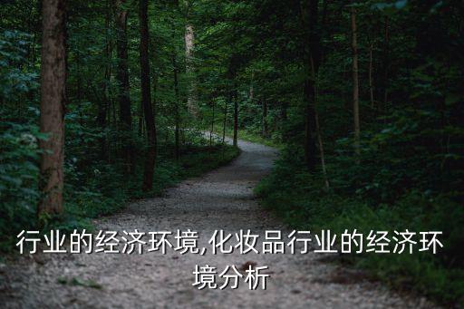 行业的经济环境,化妆品行业的经济环境分析