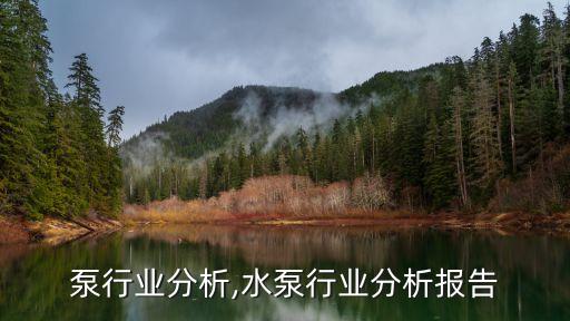 小水泵行业分析,水泵行业分析报告