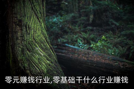 零元赚钱行业,零基础干什么行业赚钱