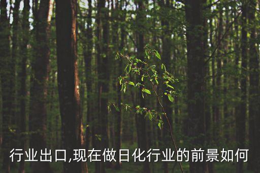 行业出口,现在做日化行业的前景如何